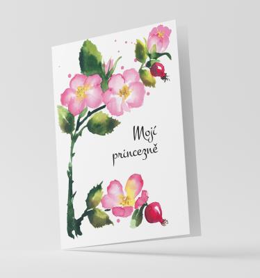 Přání - Luční šípek Mojí princezně