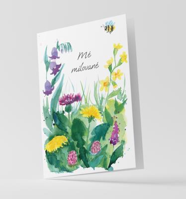 Přání - Luční pampeliška Mé milované