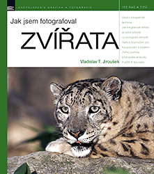 Jak jsem fotografoval zvířata
